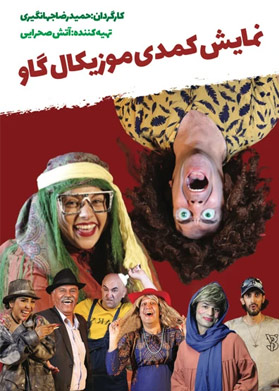بیلیتکو | گاو